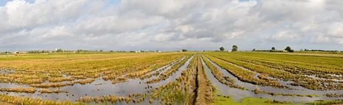 DSC6702-Pano
